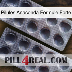 Anaconda Strong Formula Pills 31
